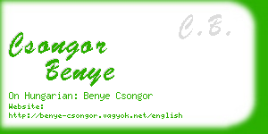 csongor benye business card